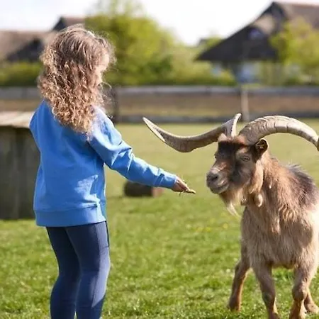 Casa vacanze Im Der Valk In Linstow